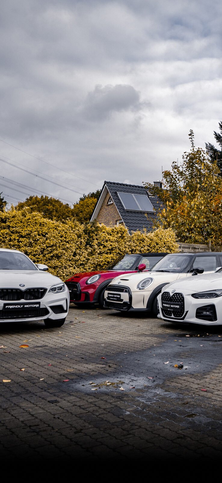 Команда профессионалов Friendly Motors